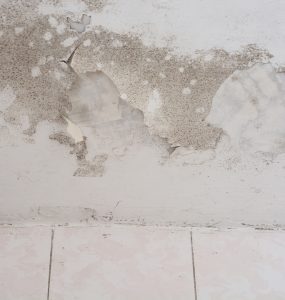 Ursachen für einen feuchten Keller