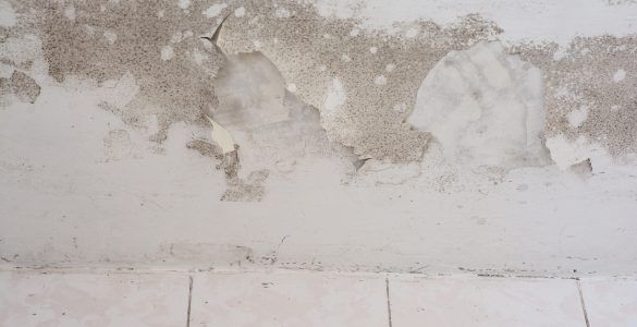 Ursachen für einen feuchten Keller