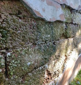 Mauerwerkstrockenlegung bei feuchten Kellers