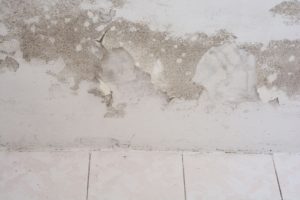 Feuchte Flecken sind die Vorboten von Schimmel im Keller durch Grundwasser