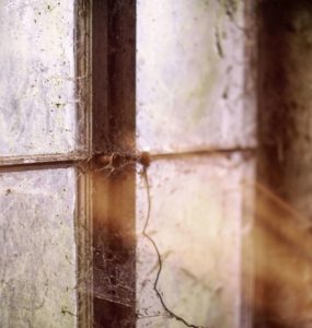 Kellerfenster